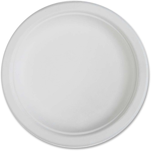 Genuine Joe Plates